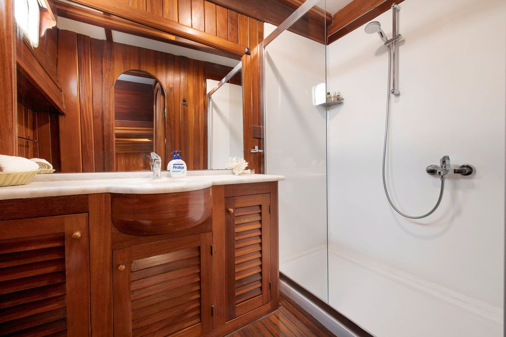 Cabin bathroom with a shower cubicle
